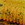 0001_Spro_Floating_Flapper_11_cm_[Yellow_Punch].jpg